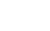 Brunt logo