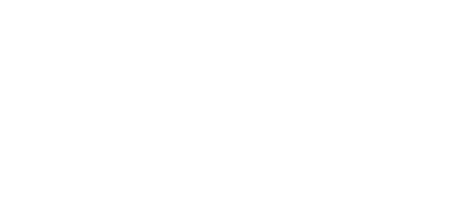 Bear Logo